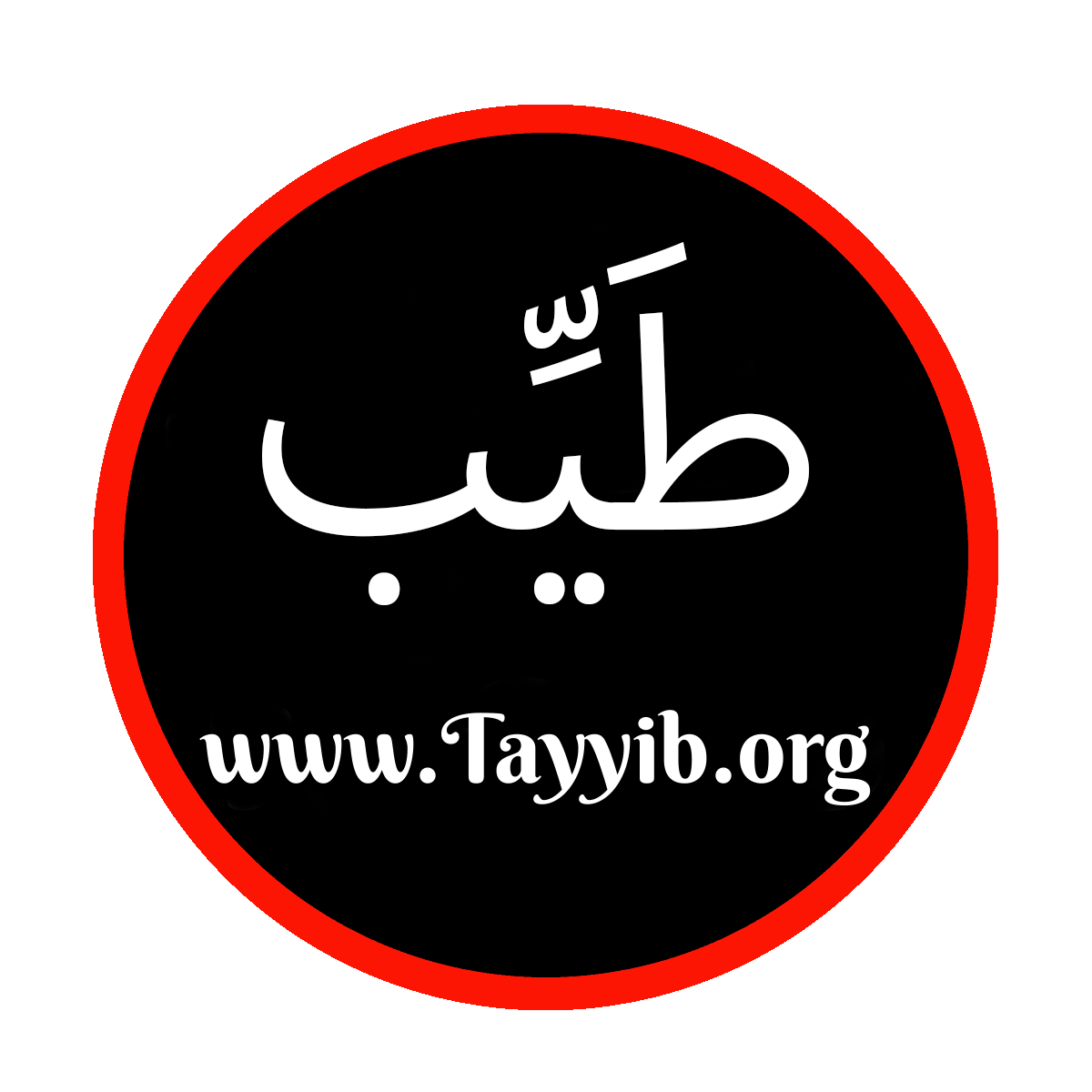 Tayyib Logo