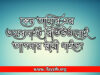 কেন তায়্যিব-এর ওয়েবসাইট রিভিউগুলোই আপনার স্থায়ী গাইড?