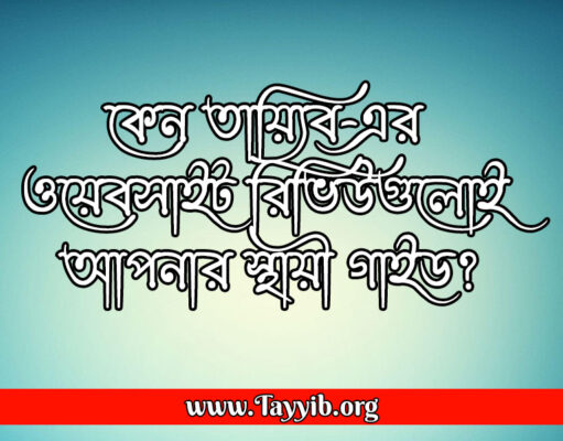 কেন তায়্যিব-এর ওয়েবসাইট রিভিউগুলোই আপনার স্থায়ী গাইড?