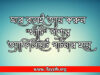 ঘরে বসেই আয় করুন “খাঁটি” পণ্যের অ্যাফিলিয়েট পার্টনার হয়ে
